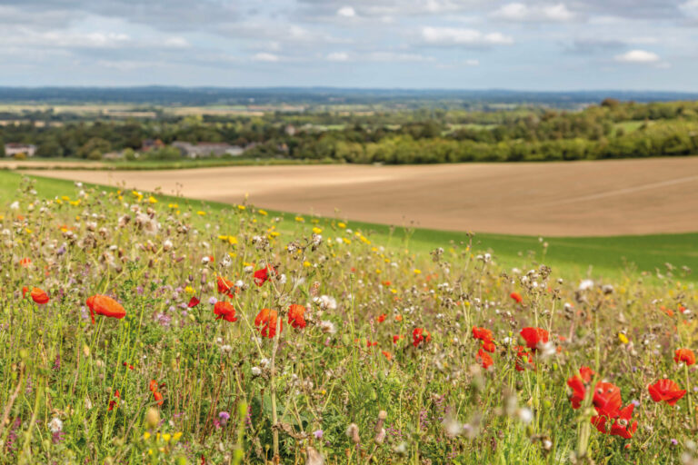 Making sustainable farming worth our while