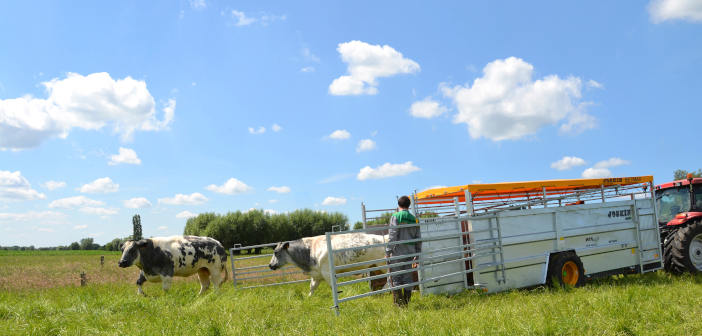 NFU responds to Welfare in Transport consultation nfu_responds_to_welfare_in_transport