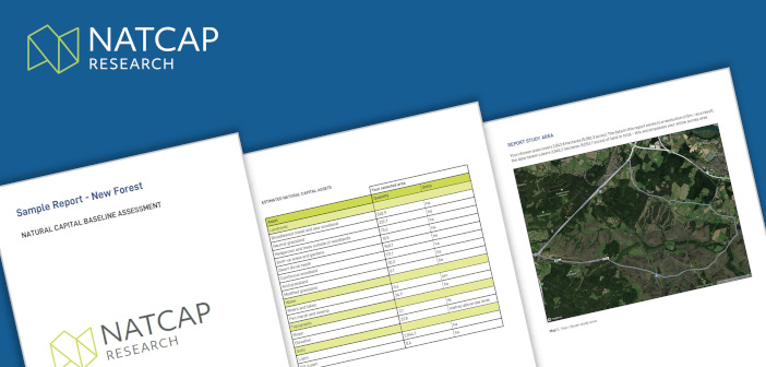 NatCap-PubGraphics_2021-03-Report-RGB