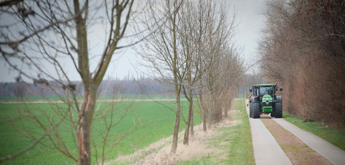 Bridgestone’s 10 year tyre pledge bridgestone_warranty