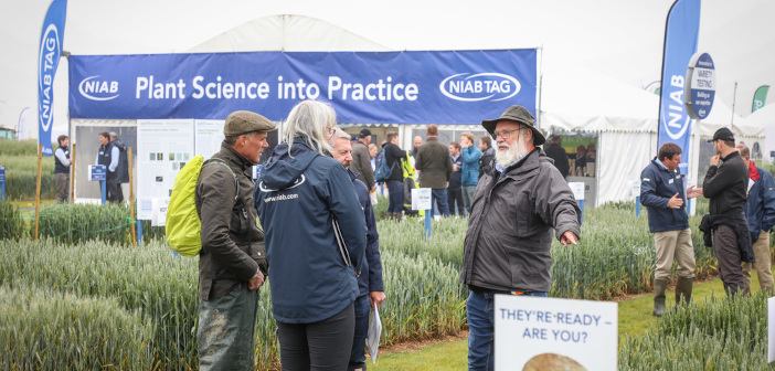 Cereals moves date to welcome more visitors cereals_event