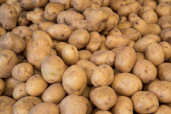 NFU responds to AHDB Potatoes levy ballot result potatoes