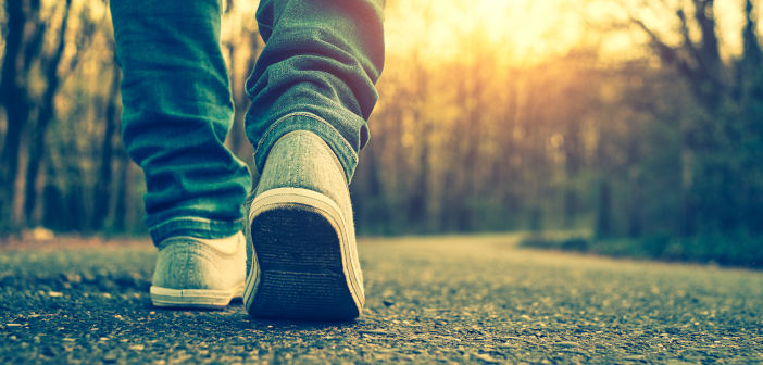 Feed companies donate miles for money in mental health campaign walking_charity_fcn