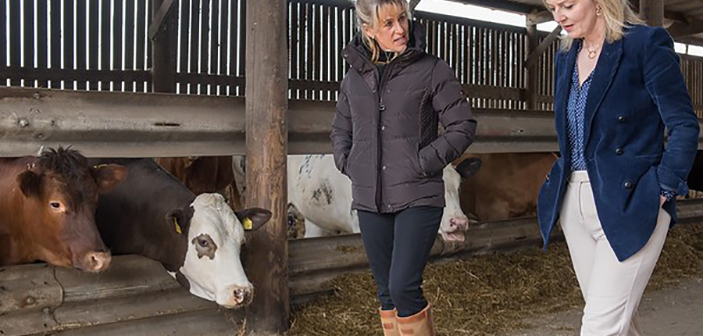 International Trade Secretary visits Yorkshire farm to celebrate Great British Beef Week
