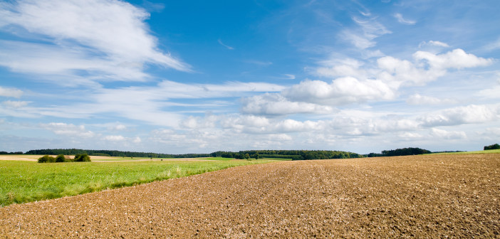 How businesses can adapt to changing land use Agricultural,Landscape,With,Plowed,Field,,Meadow,And,Forest,Area,Under