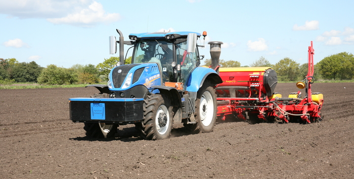 Could maize replace grass silage shortfalls?