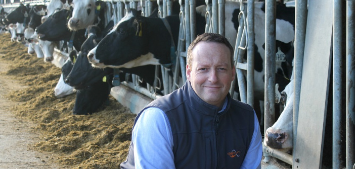 Interest in polled Holstein sires gains momentum Andrew Holliday low res