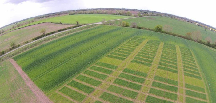 New Omex trial site opens in Lincolnshire DJI02631