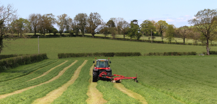 Yara offers advice for maximising second cut silage yields Grassland_Silage - Reupload - 20210426143450744