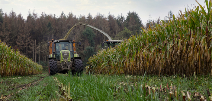 Proterra Maize October Harvest