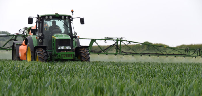 Latent Septoria levels prompts warning from Corteva Spraying-wheat-at-T2-in-Ma