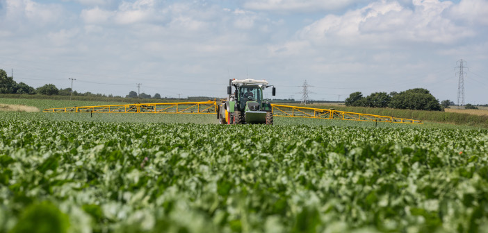 Yara offers sugar beet advice following cold April Sugar Beet