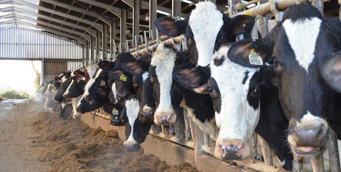 Early signs are of variable first cut analysis