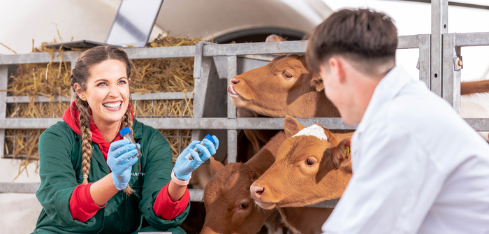 New research will inform best practice in the dairy industry