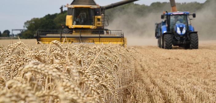 Corteva Agriscience Works with UK Farms to Offset 100 Tonnes of Carbon Combine harvester in wheat