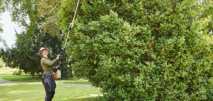 Stihl Launches Powerful Cordless Long-reach Hedge Trimmer