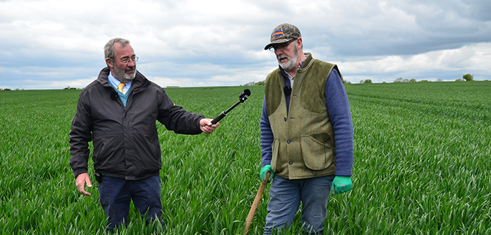 Claydon shares initial findings from cover crop trials Claydon shares initial findings