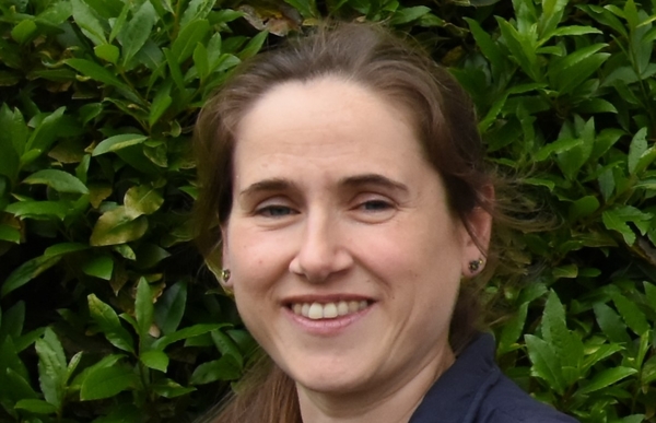 Kingshay report shows big herd health improvements