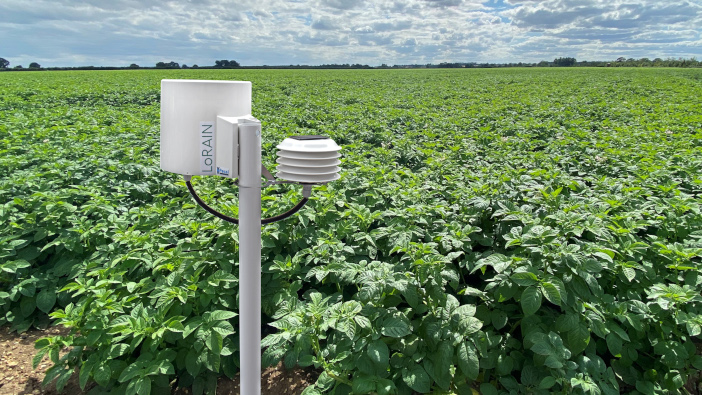 Low cost in-field sensors developed to drive efficiency LoRAIN in potatoes
