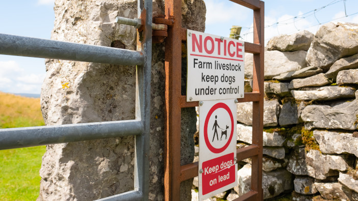 New measures to crack down on livestock worrying introduced North,Yorkshire,,Uk,-,Circa,August,2019:,Detailed,View,Of