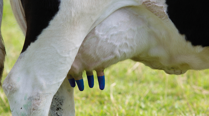 T-HEXX® DRY offer allows for smarter drying off this summer