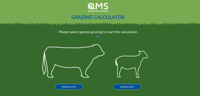 New tool launched to help farmers manage their rotational grazing on the hoof
