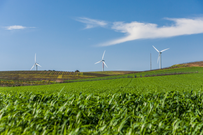 Green,Agriculture,Field,,Wind,Turbines,And,Clear,Blue,Sky.,Renewable