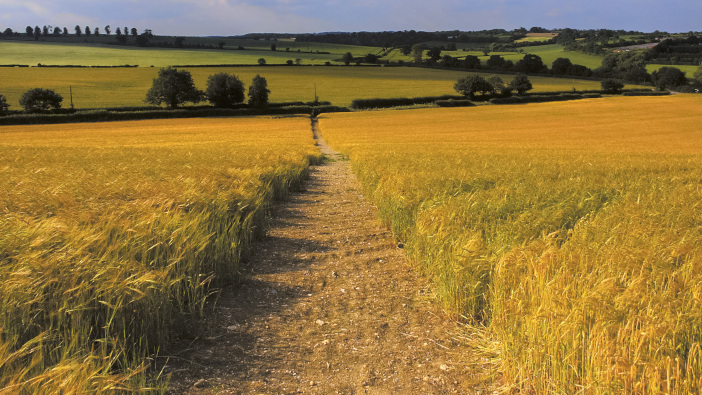 British farmland plays a key role in improving mental health, NFU survey finds A,Footpath,And,Public,Bridleway,Through,The,Countryside