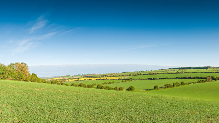 The Royal Countryside Fund provides financial boost for rural communities Idyllic,Rural,View,Of,Pretty,Farmland,And,Healthy,Livestock,,In