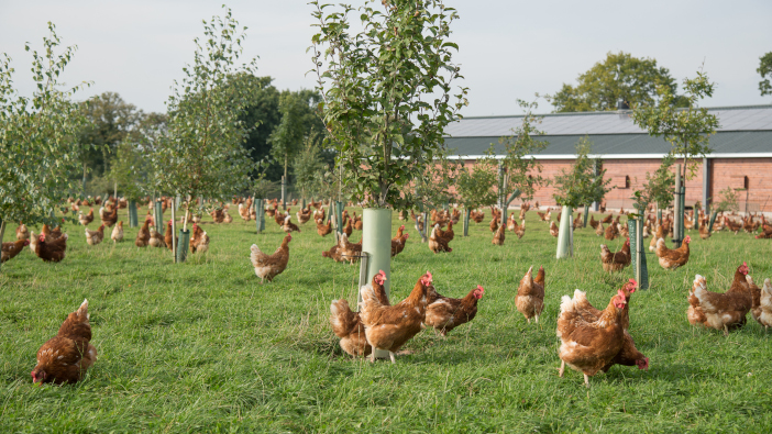 BFREPA Conference press image 1