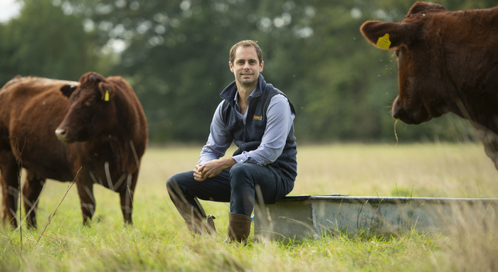 Boost suckler genetics using free KPI app Livestock data management platform Breedr raises £12 million to build better trading and cash-flow products for farmers