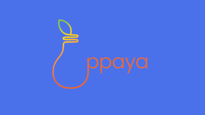 Renewable energy price comparison start-up launches PPAYA - Launch (5)
