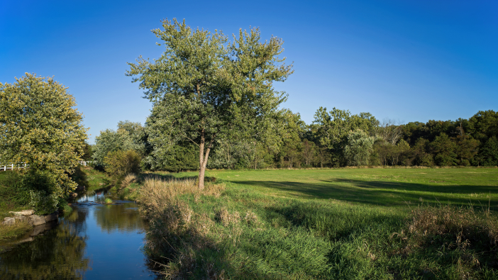 AIC welcomes clarity on Farming Rules for Water but warns against a prescriptive approach Farmland,Stream,And,Pasture,Having,Undergone,Streambank,Restoration,And,Stabilization