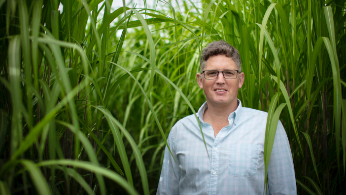 Upcoming farm walk to showcase high-yielding Terravesta Athena miscanthus variety Adam Bradshaw and his Terravesta AthenaTM Miscanthus crop
