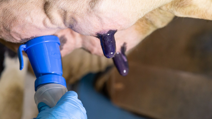 New post dip from Deosan helps defend against bacteria Barriers are incredibly effective, and are highly recommended, in times of transition LOW RES