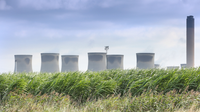 NFU partners with Drax to boost UK energy crop market Miscanthus-field-in-front-of-Drax