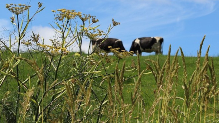 Welsh government outlines future farm support RuralWales (2)