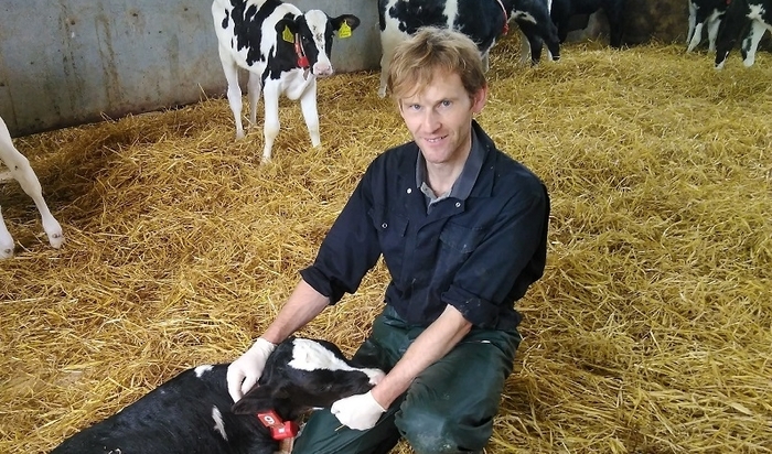 Vets recommend new M. Bovis vaccine