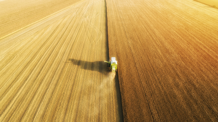 Aerial,View,Of,Combine,Harvester,Harvesting,Wheat.,Beautiful,Wheat,Field