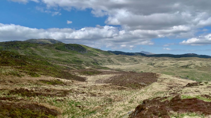 Greater action is required to prevent irreversible outcomes for UK farming Peatland (Rhys Evans)