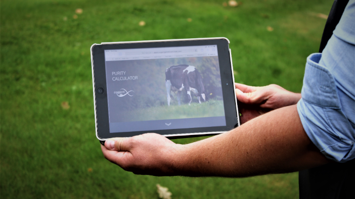 New breeding tool to show true value of genetic investment The Purity Calculator has been exclusively developed over the past twelve months by Cogent LR