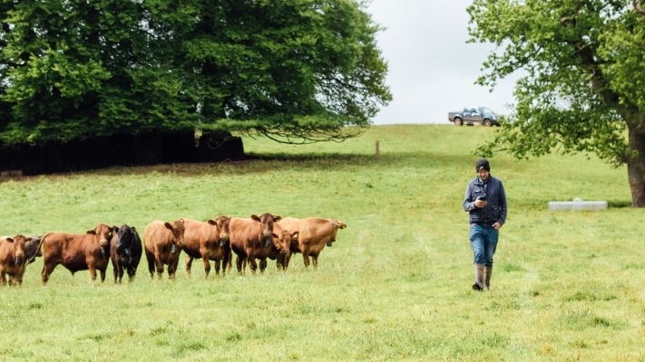 Networking: The key to agri-tech success