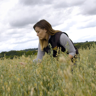 Gemma Cope Seeds Merlin