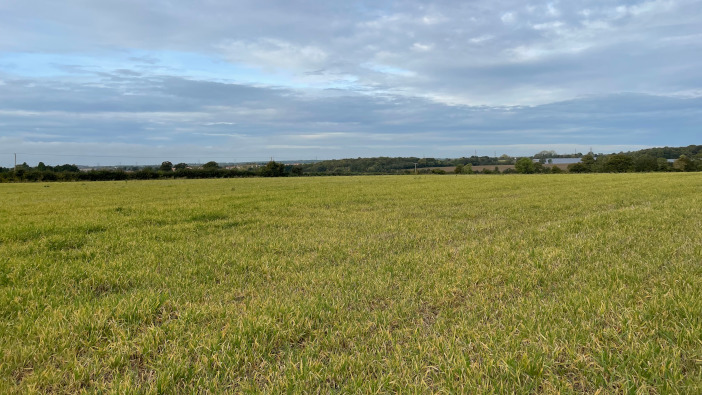 Cheffins brings 90 acres of productive arable land to market Lot 4