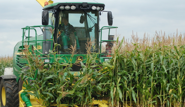 Maize analysis provides some better news Maize analysis provides some better news