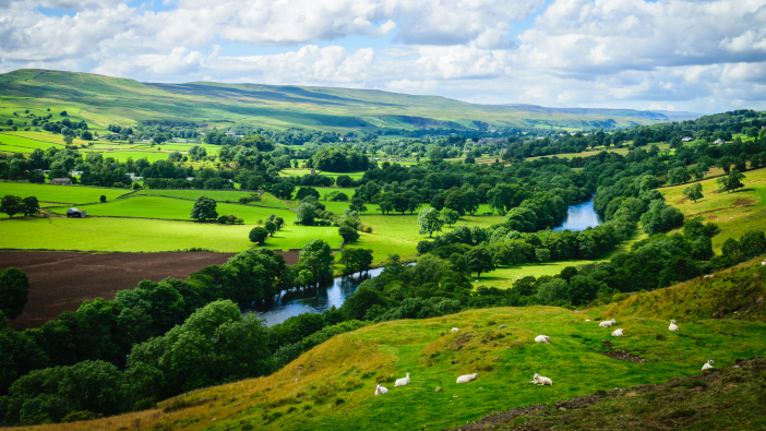 CAAV warns of selling carbon too cheaply Meandering,River,Making,Its,Way,Through,Lush,Green,Rural,Farmlan