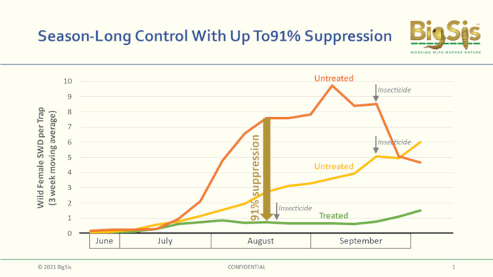 BigSis SWD trial results graph