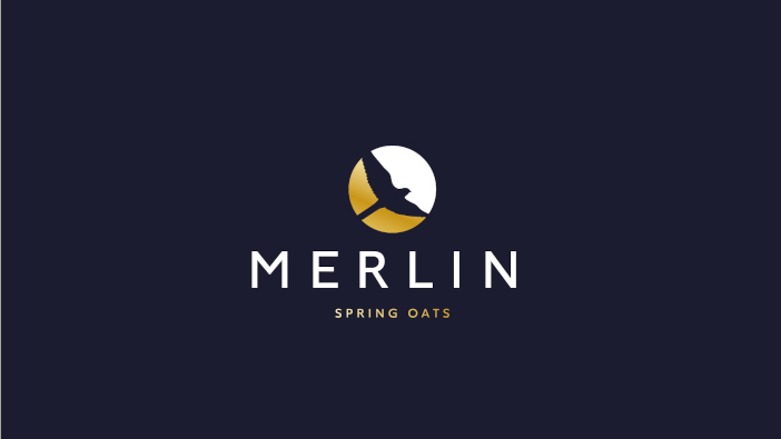 Merlin spring oats added to Recommended List Merlin-01