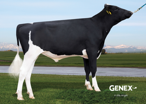 Breaking News peaks among young Holstein sires Breaking News peaks among young Holstein sires