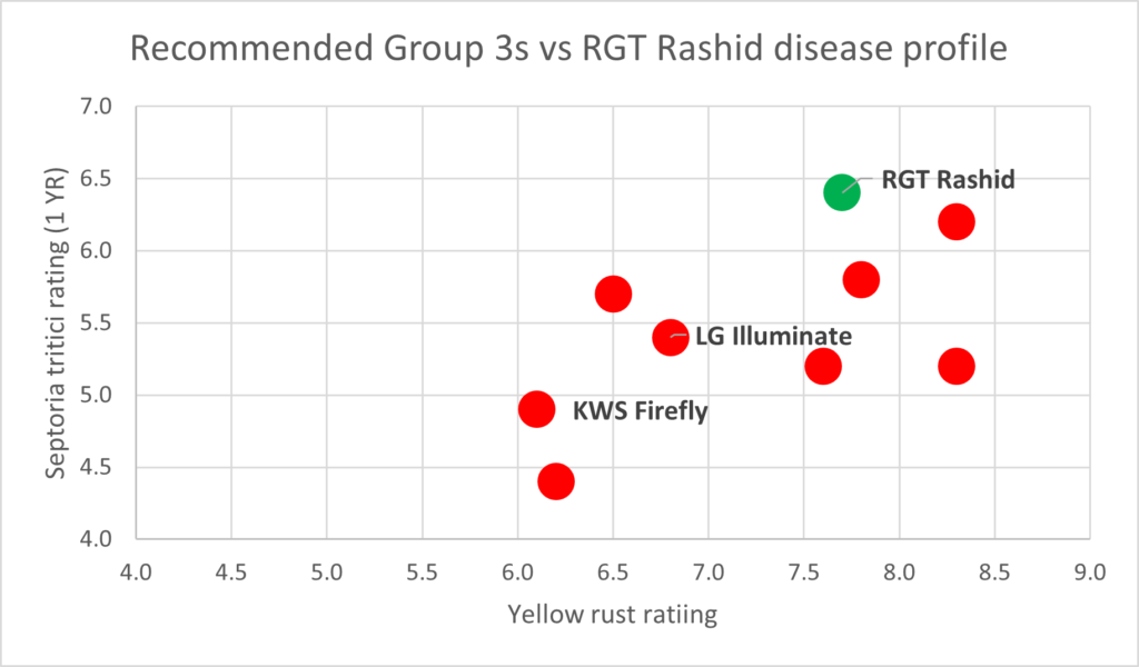 rashid